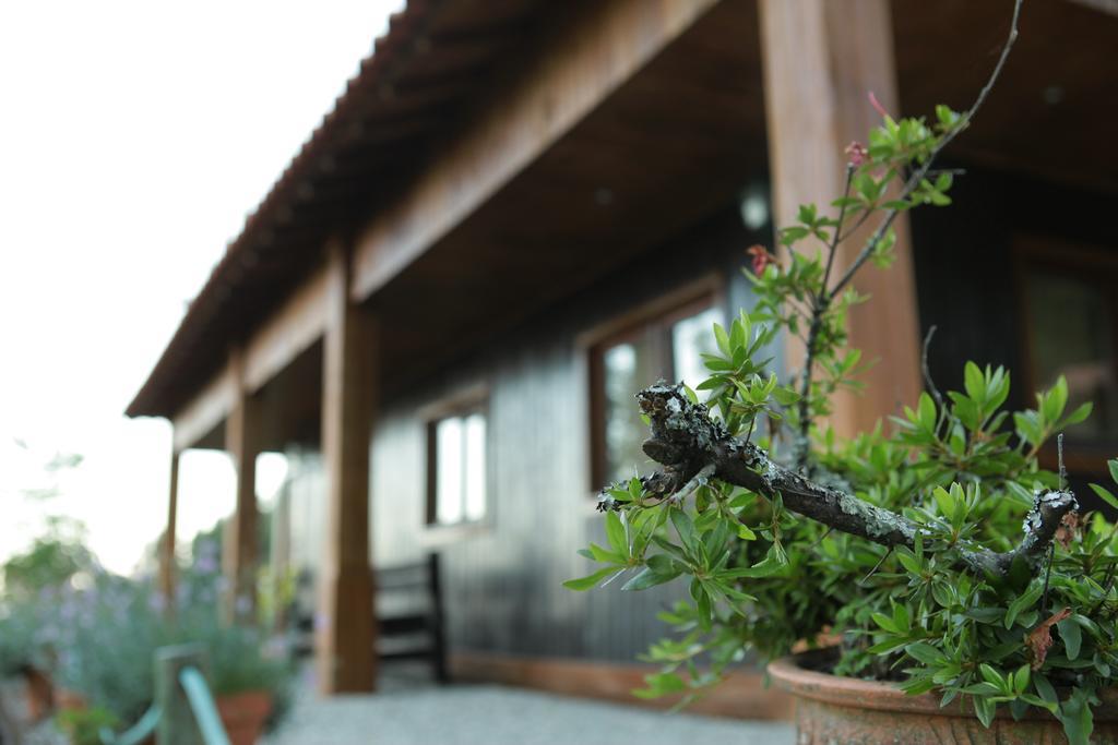 Ferienhaus Quinta Leiras De Mondim *